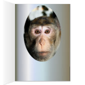 bedreigde regenwoud Ape (Binnen (Rechts))