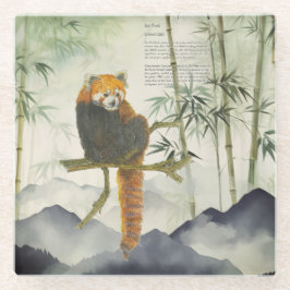 Bedreigde Schattigee handgeschilderde rode panda Glazen Onderzetter