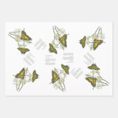 Bedreigde Swallowtail en Honeyeater Handbeschilder Inpakpapier Vel (Voorkant)