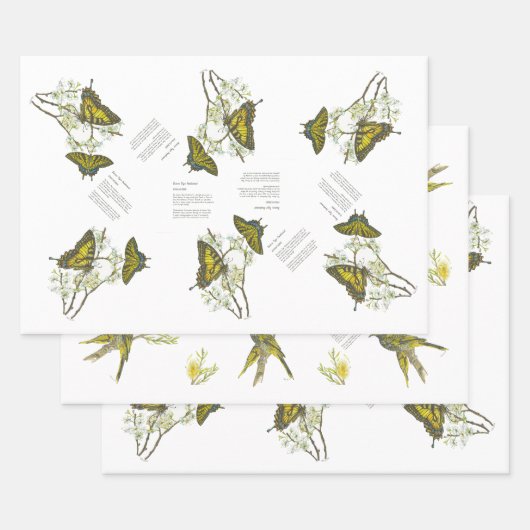 Bedreigde Swallowtail en Honeyeater Handbeschilder Inpakpapier Vel (Set)