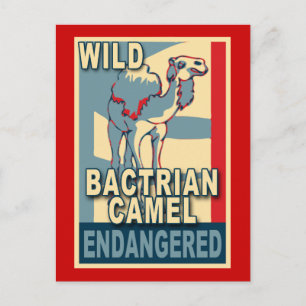 Bedreigde Wild Bactrian Camel Pop Art Tshirts Briefkaart