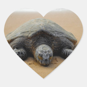 Bedreigde Zee Turtle Sticker