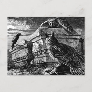 Bedrijf dat briefkaart verschuldigd is