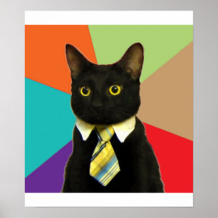 Bedrijfscatadvies Dierenthema Poster