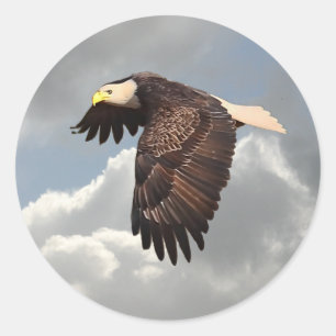 BEDRIJFSELLE RONDE STICKER