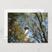 BEDRIJVEN VIA DE BOMEN BRIEFKAART (Voorkant / Achterkant)