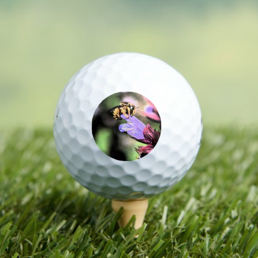 Bee and Flower be6 gbcna Golfballen (Insitu Shirt)