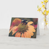 Bee Art Bee op Oranje coneflower Art Note Kaart (Gele Bloem)
