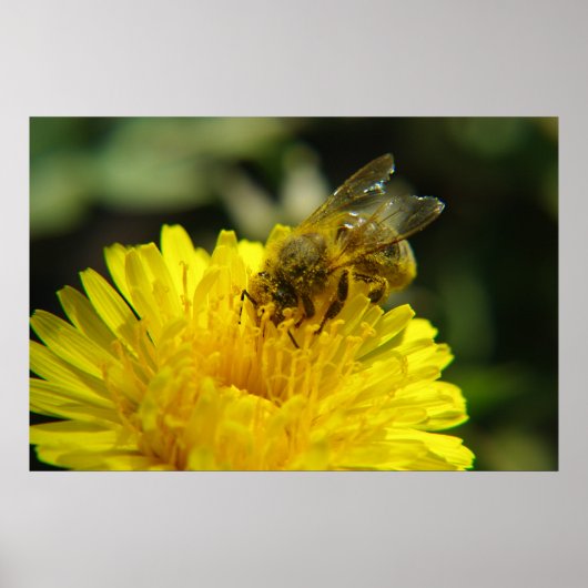 Bee at Work Poster (Voorkant)