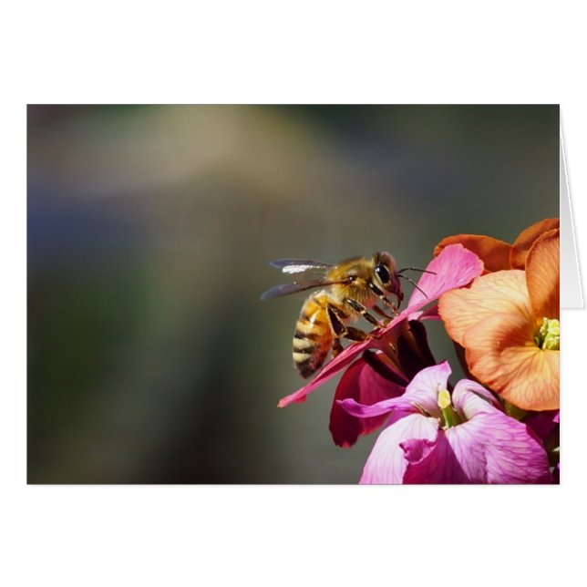 Bee-atiful bij! (Voorkant Horizontaal)