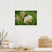 "Bee-autifull"-poster Poster (Keuken)