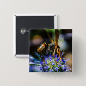 Bee Aware 2-inch vierkant Button (Voorkant /achterkant)