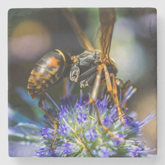 Bee Aware Marble Stone Onderzetter (Voorkant)