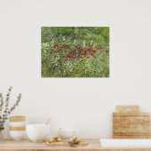 Bee Balm (Bergamont) in augustus Poster (Keuken)