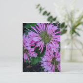 Bee Balm Briefkaart (Staand voorkant)