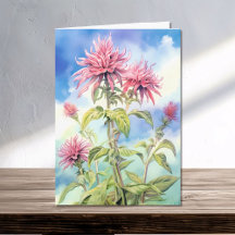 Bee Balm Flowers op een zomerse dag Waterverf