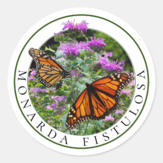 Bee Balm Monarda en Monarch Butterflies Ronde Sticker