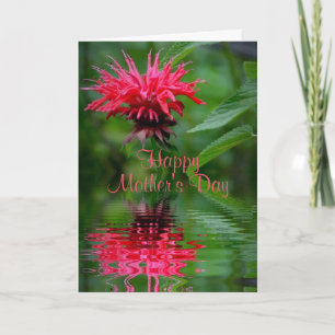 Bee Balm Reflection Carte de la fête des mères