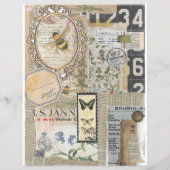 Bee Botanische Vintage Ephemera Scrapbook Papier (Achterkant)