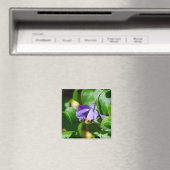 Bee Busy Magneet (Insitu (Vaatwasser))