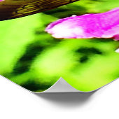 Bee Butt Poster (Hoek)