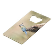 Bee-eater (Dos Angle)