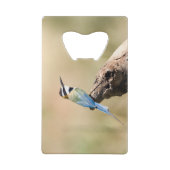 Bee-eater (Dos)