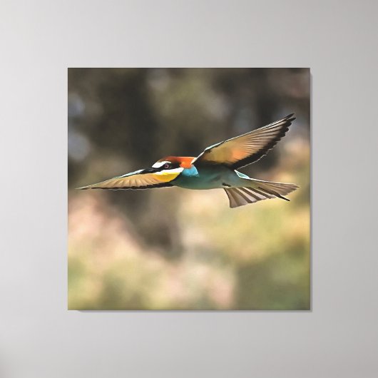 Bee Eater in vlucht Realistisch Kunstwerk Canvas Afdruk (Voorkant)