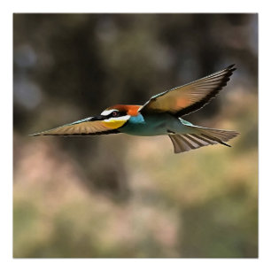Bee Eater in vlucht Realistisch Kunstwerk Perfect Poster