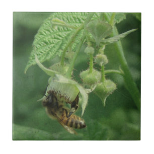 Bee en frambozenbloemen tegeltje