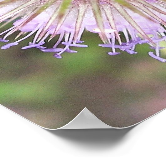 BEE EN TEASELSTROOM POSTER (Hoek)