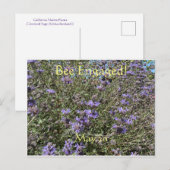 Bee Engagé : Carte postale World Bee Day (Devant / Derrière)