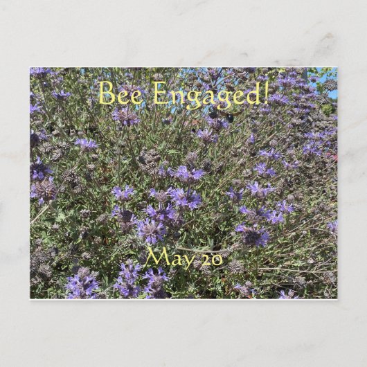 Bee Engagé : Carte postale World Bee Day (Devant)