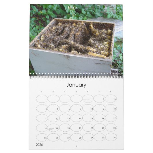 Bee Happy Calendar Kalender (Jan 2026)