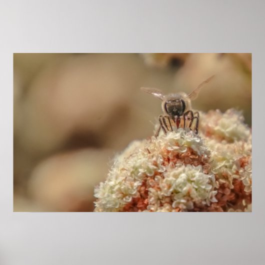 Bee Happy Poster (Voorkant)