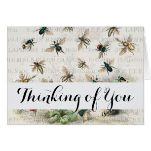 Bee Honey Travailleur Queen Bees Antique