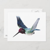 Bee Hummingbird Male Briefkaart (Voorkant / Achterkant)