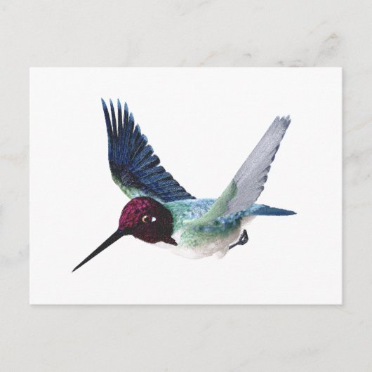 Bee Hummingbird Male Briefkaart (Voorkant)