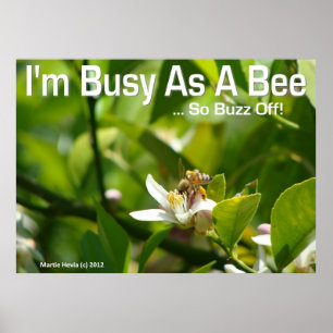 Bee - Ik ben bezig, dus Buzz Off - Poster