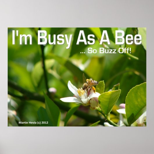 Bee - Ik ben bezig, dus Buzz Off - Poster (Voorkant)