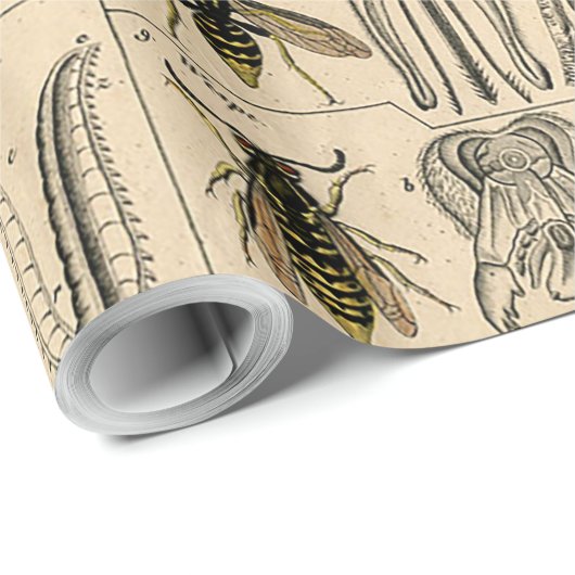 Bee Insect Bug Wasp Natural History Bees Cadeaupapier (Rol Hoek)