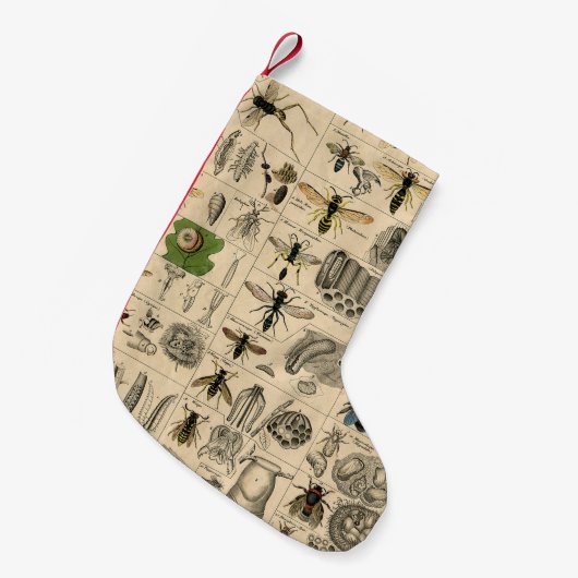 Bee Insect Bug Wasp Natural History Bees Kleine Kerstsok (Voorkant (Hangend))