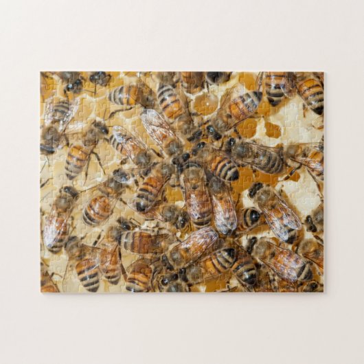 Bee keeping at Arlo's Honey Farm Legpuzzel (Horizontaal)