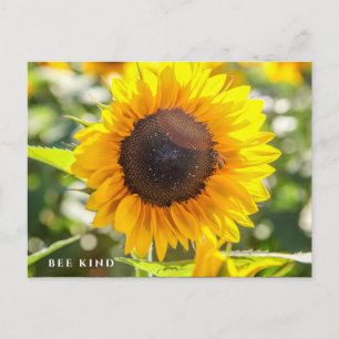 Bee Kind Zonnebloem Briefkaart