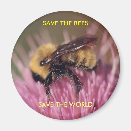 Bee Magnet Magneet (Voorkant)