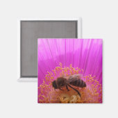 Bee Magnet Magneet (Voorkant / Achterkant)