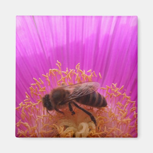 Bee Magnet Magneet (Voorkant)