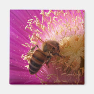 Bee magneten