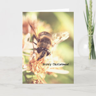 Bee Merry Christmas Look Foto Feestdagen Kaart