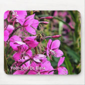 Bee Nice Muismat (Voorkant)